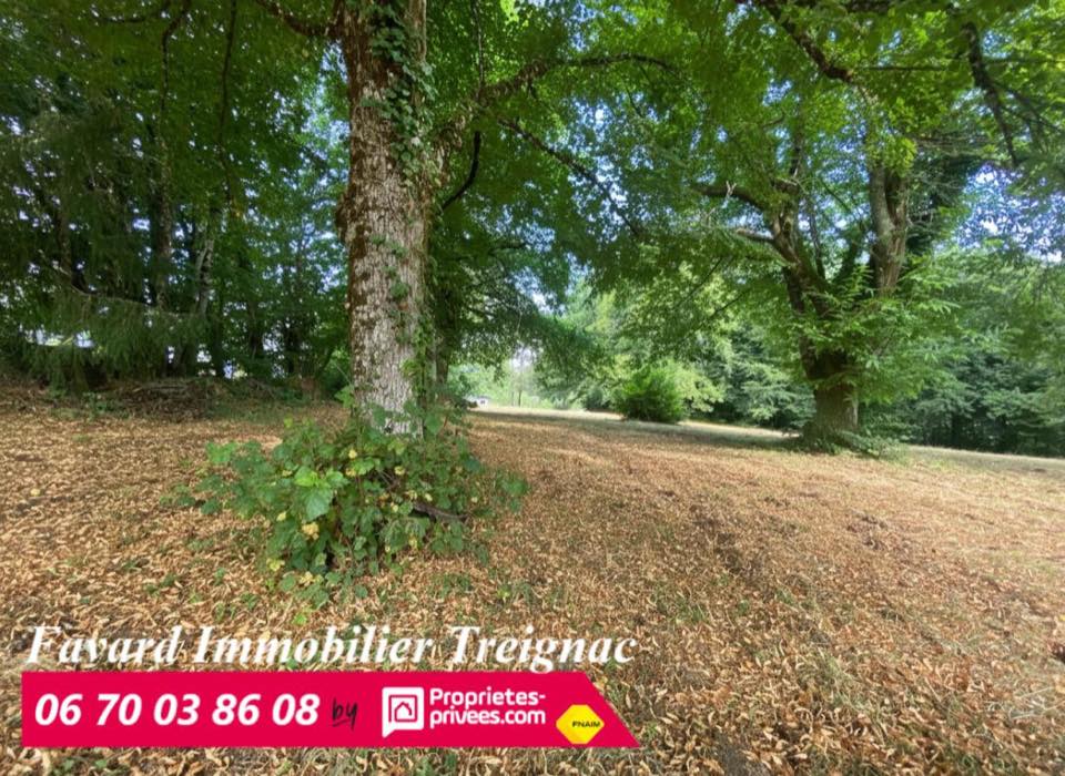Terrain · 3806 m² à Treignac